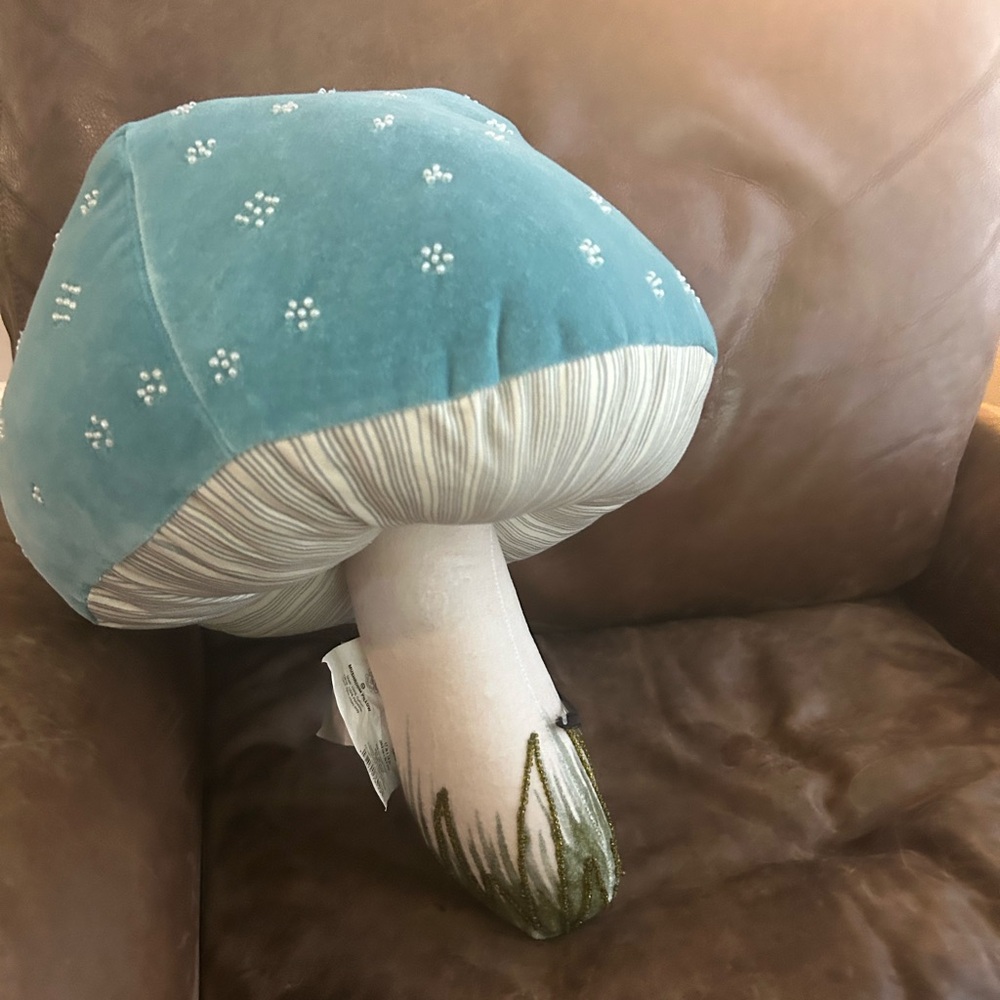 John Derian Target Thanksgiving Beaded Blue Mushroom Plush Pillow, price is firm